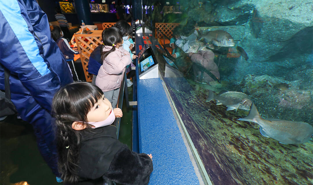 イベントの様子